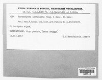 Image Associated With the Occurence